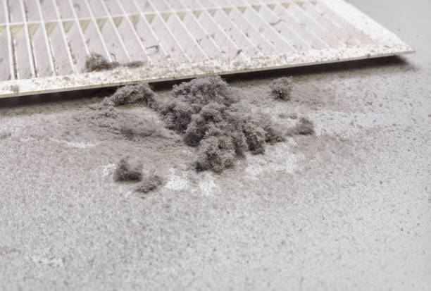 Best Commercial HVAC Duct Cleaning  in Lemay, MO
