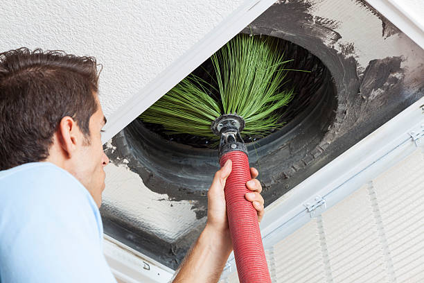 Best Duct Cleaning for Offices  in Lemay, MO